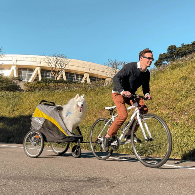 innopet-hercules-trailer-hundebuggy-einsatz-grau-gelb