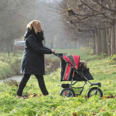 innopet-comfort-efa-eco-schwarz-rot-wald