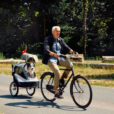 innopet-fahrradanhaenger-hund-grau-im-einsatz