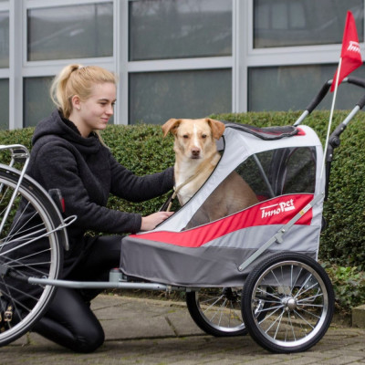 innopet-sporty-trailer-fahrradanhaenger-hund