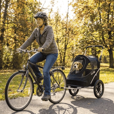 innopet-sporty-trailer-evr-fahrradanhaenger-hund-schwarz