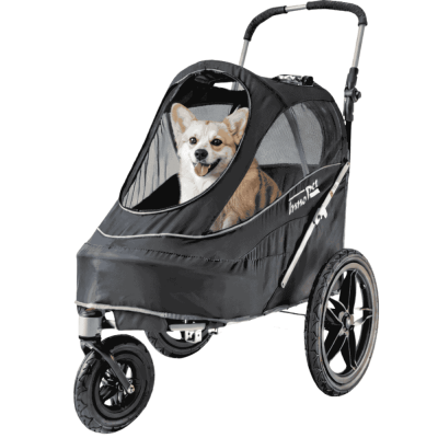 innopet-sporty-trailer-evr-hundebuggy-mit-hund