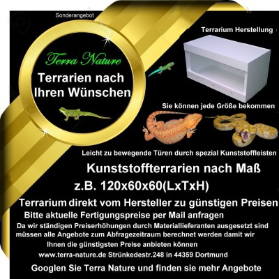 Forex terrarium 120x60x60