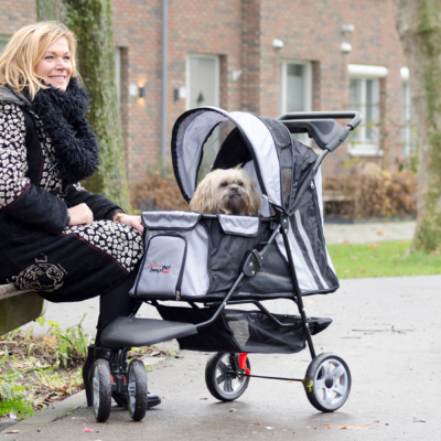 innopet-all-terrain-hundebuggy-silber-im-einsatz