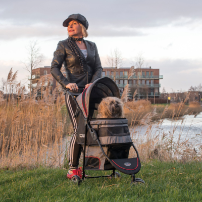 innopet-avenue-hundebuggy-grau-rot-im-einsatz-mit-hund