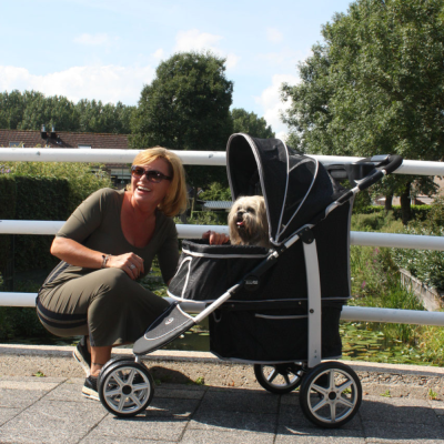 innopet-monaco-hundebuggy-mit-hund-im-einsatz