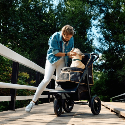 innopet-adventure-hundebuggy-mit-franzoesischer-bulldogge