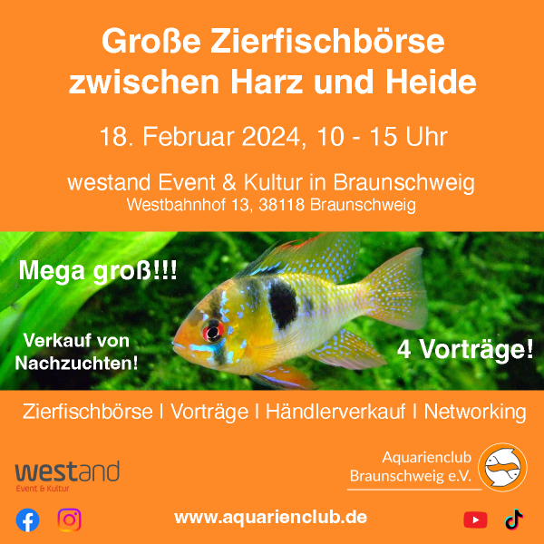 Zierfischbörse zwischen Harz und Heide / Aquarienclub Braunschweig
