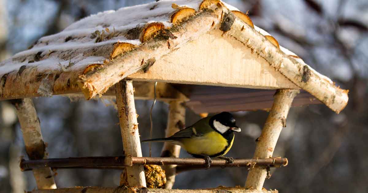Vogelhäuschen im eigenen Garten sind eine ideale Futterstelle für Wildvögel. Foto: WZF GmbH/Milous