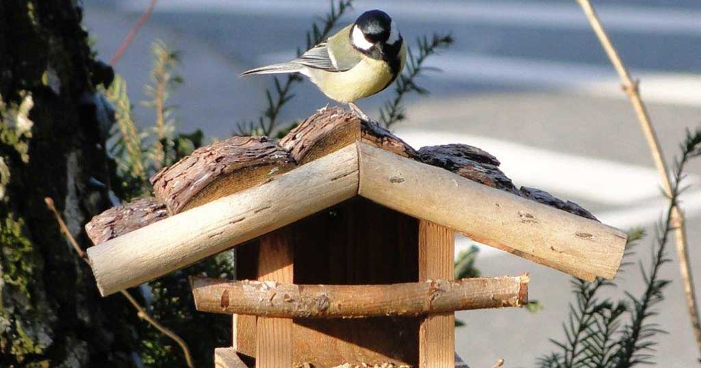 Beim Aufstellen und Bestücken von Vogelhäusern gibt es einiges zu beachten. Bild: WZF GmbH / Jörg Turk 