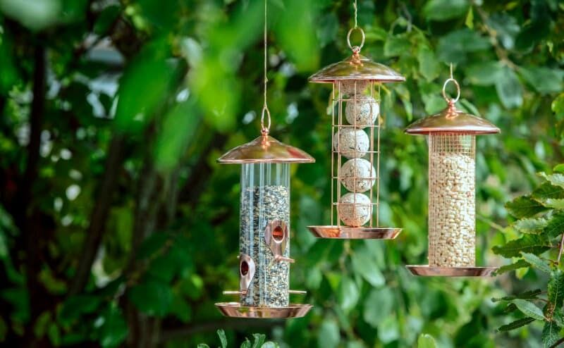 Wollen Sie den Vögeln einen besonders großen Gefallen tun, können Sie zusätzlich Meisenknödel aufhängen. Bild: Dehner