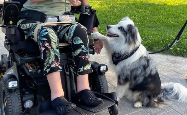 Besuchshunde-Teams bieten Menschen Ablenkung vom Alltag. Foto: Sonja Markulak/BHV
