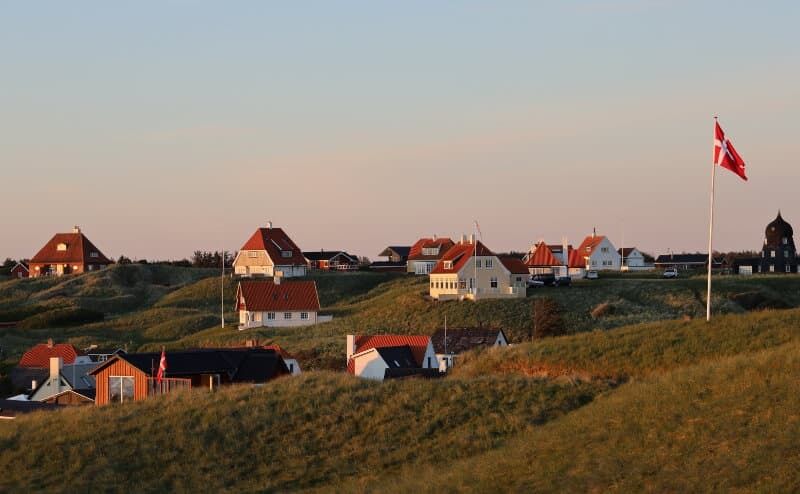 Urlaub in Dänemark mit Hund. Foto: wirestock/Freepik
