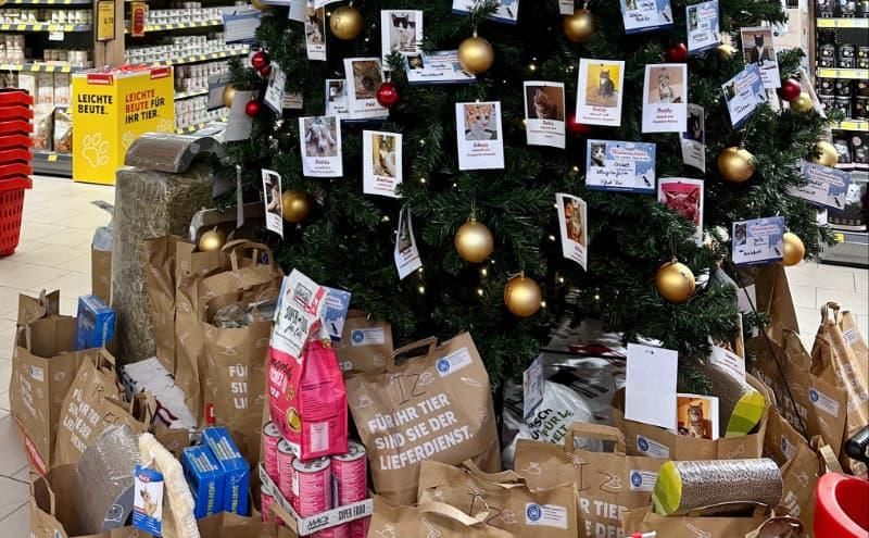 Weihnachtsbaum mit vielen Wunschzetteln - dieser steht im DAS FUTTERHAUS-Markt in Elmshorn