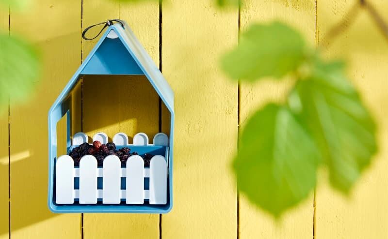 Beerenmix Vogel-Futterhaus. Foto: Dehner