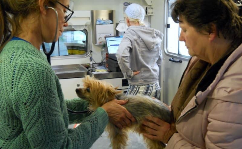 Medizinische Hilfe für Tiere bedürftiger Senioren. Foto: ETN