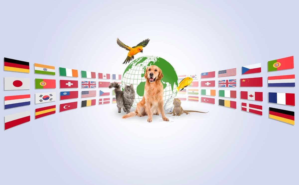 Flächenrekord, Ausstellerrekord, Länderrekord – die Interzoo 2024 wird die größte Messe in der Geschichte der Heimtierbranche. Foto:WZF/ Olszewski