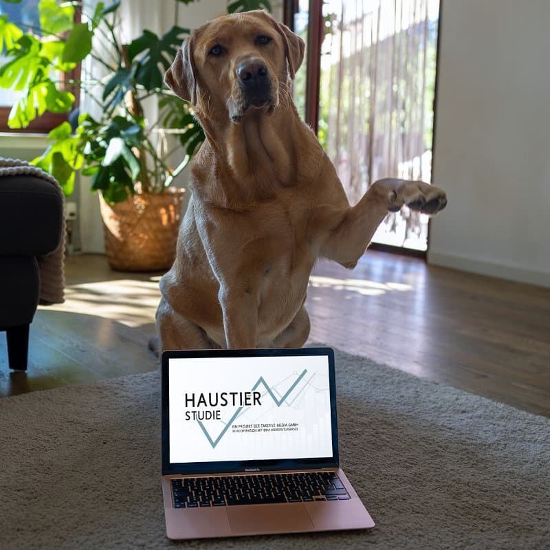 Die Haustier-Studie 2024 / 2025 ist gestartet und verspricht erneut spannende Erkenntnisse rund um die Tierhaltung. Foto: Martin