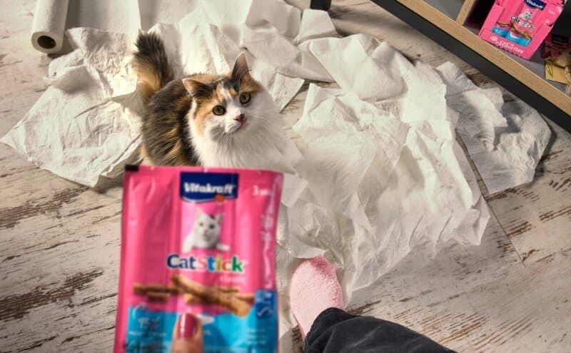 Jeder Tierbesitzer kennt sie, die vielen alltäglichen Glücksmomente. Grafik: Vitakraft