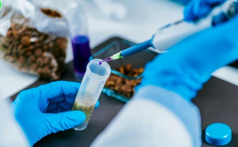 Showcasing the manufacturing. Foto: Zoomark