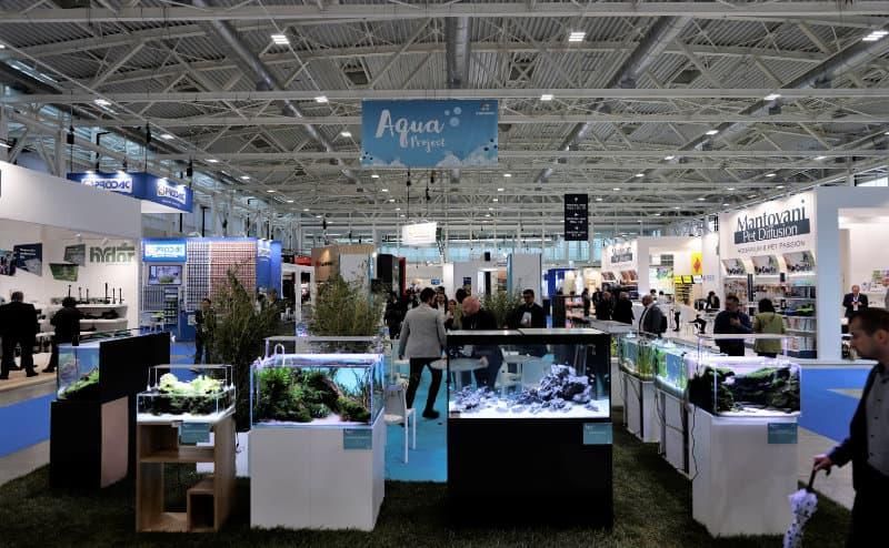 The aquarium industry will be in the spotlight once more in the Aqua Project. Foto: Zoomark