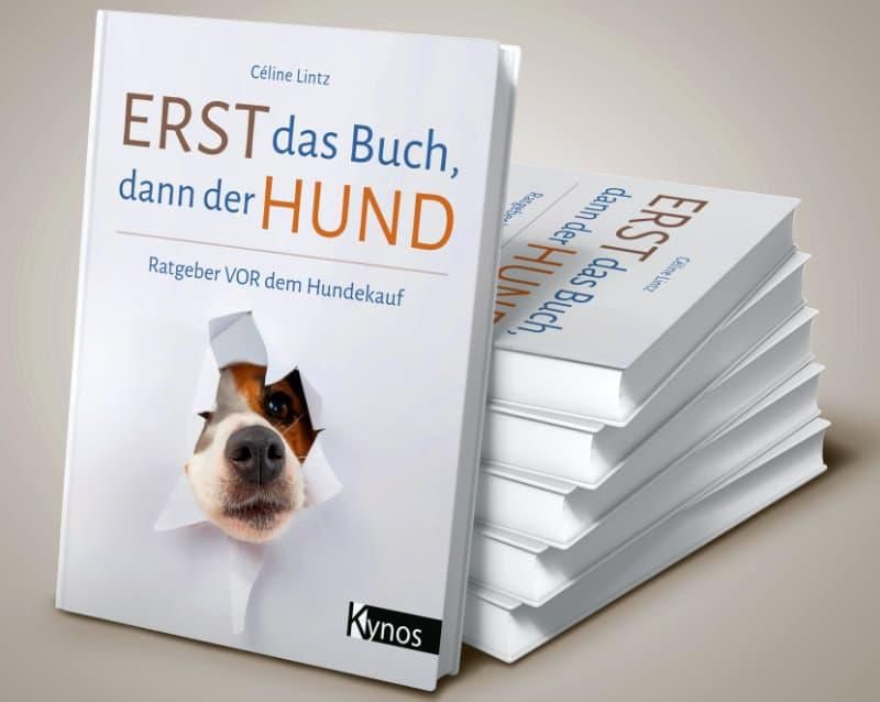 Erst das Buch, dann der Hund – Ratgeber VOR dem Hundekauf. Grafik: Céline Lintz