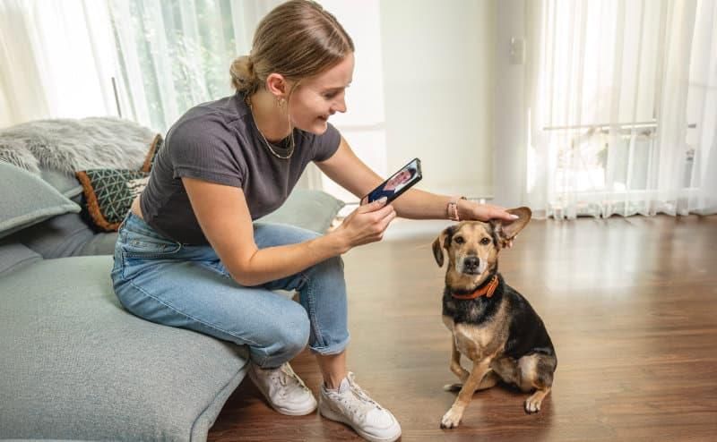 DAS FUTTERHAUS kooperiert mit HaustierDocs.de Foto: HaustierDocs by TierDocs24 GmbH