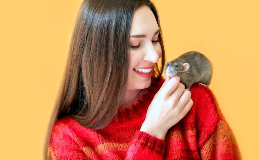 Frau mit Ratte auf der Schulter - Ratten oder Mäuse leben in jedem 20. Haushalt in Deutschland. Foto: IVH