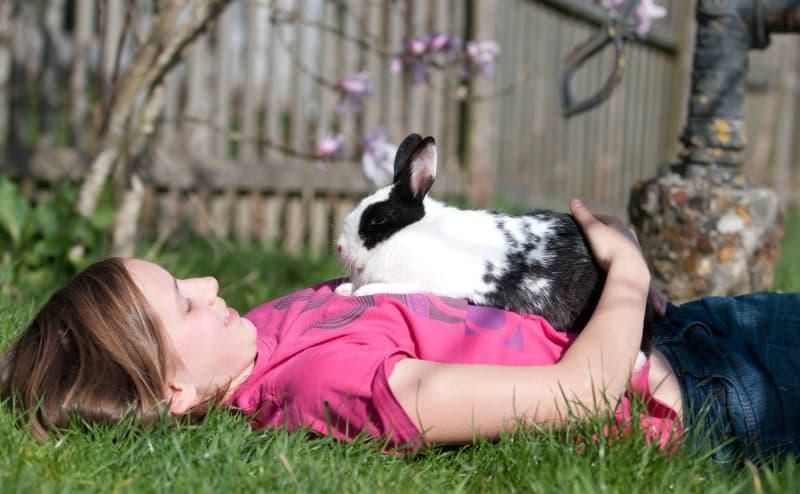Sonnenschutz! Kaninchen mit Kind im Garten. Foto: IVH