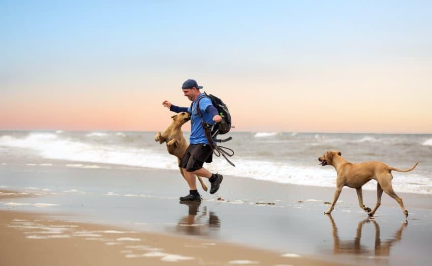Outdoor-Aktivitäten mit Hund. Foto: IVH