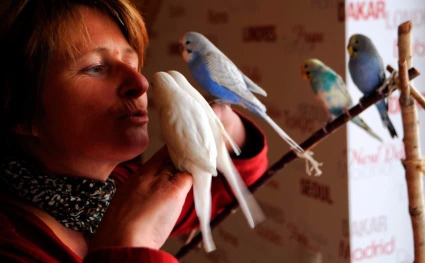 Frau mit Ziervögeln auf der Hand