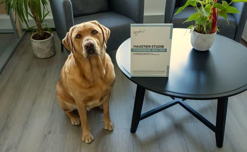 Für alle Interessierten ist der dritte umfangreiche Studienband zur Haustier-Studie 2024/2025 ab sofort bestellbar. Foto: takefive-media