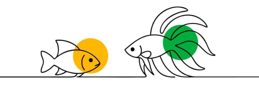 Auch Heimtiere wie Fische, Reptilien, Vögel und Kleinsäuger können unter extremen Merkmalen leiden. Grafik: WZF