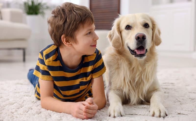 Die Vermittlung von Sachkunde im Kindesalter ist ein Thema der ZZF-Dialogtagung. Foto: Panthermedia/NewAfrica