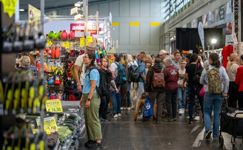 Messe Dogs &amp; Fun 2026: Drei Tage Erlebniswelt in Dortmund. Foto: VDH