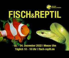 Fisch & Reptil