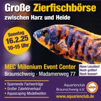 Zierfischbörse zwischen Harz und Heide