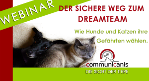 Gefährte gesucht und gefunden - ganz einfach.