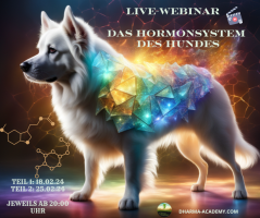 Das Hormonsystem des Hundes