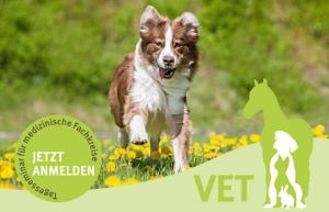 Entstehung von chronischen Krankheiten Dr.med.Jutta Ziegler