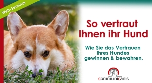 So vertraut Ihnen Ihr Hund