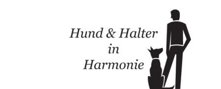 Hund & Halter in Harmonie