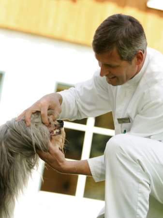 Tierarztpraxis Dr. Burkhard Kersebohm