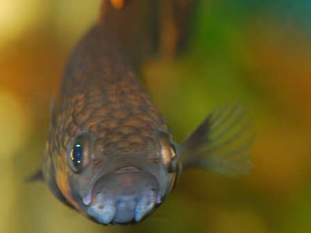 Bee-Point interaktiv