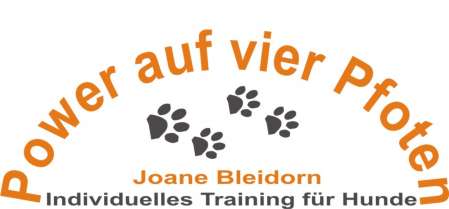 Power auf vier Pfoten - Individuelles Training für Hunde