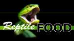 Reptile Food