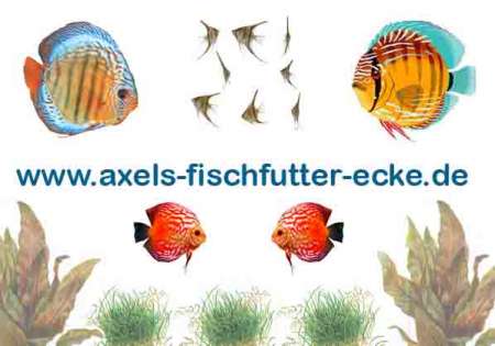 Axel's Fischfutter Ecke