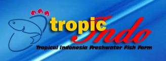 TropicIndo - Tropical Indonesia Freshwater Fish Farm