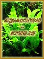 Aquascaping-Store