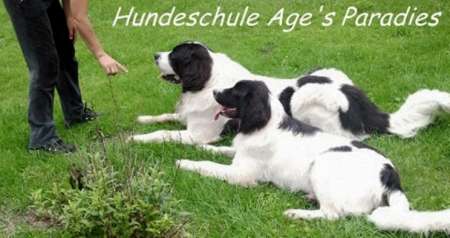 Hundeschule Age's Paradies